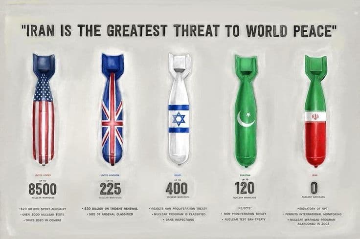 Plastic waste collected on a beach shoreline