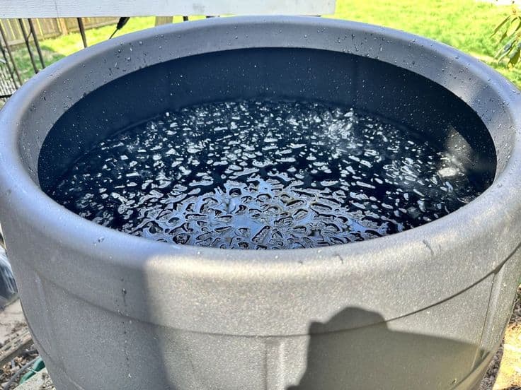 Person immersed in a cold plunge ice bath with steam rising from a nearby sauna