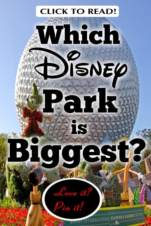 Cinema camera lens with dramatic lighting