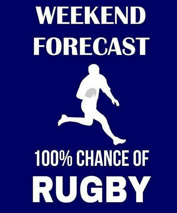 Rugby ball on grass pitch with stadium seating in the background