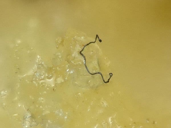 Fresh meat cuts arranged on a clean kitchen surface