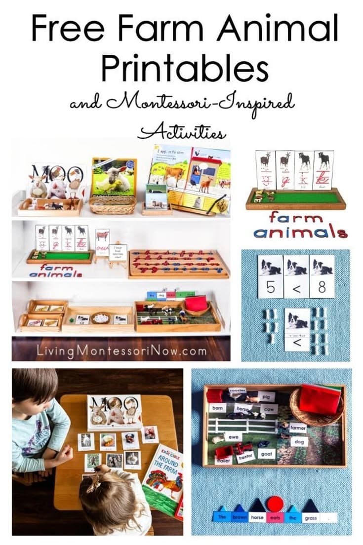 Boxing ring with ropes and corner post under dramatic lighting