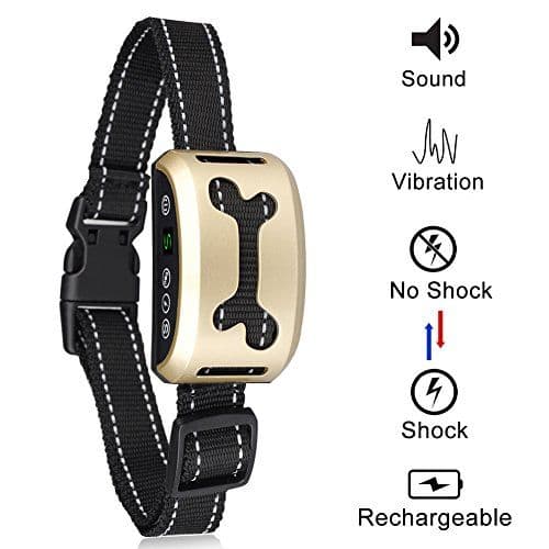 Golden retriever wearing a modern smart collar outdoors in a park