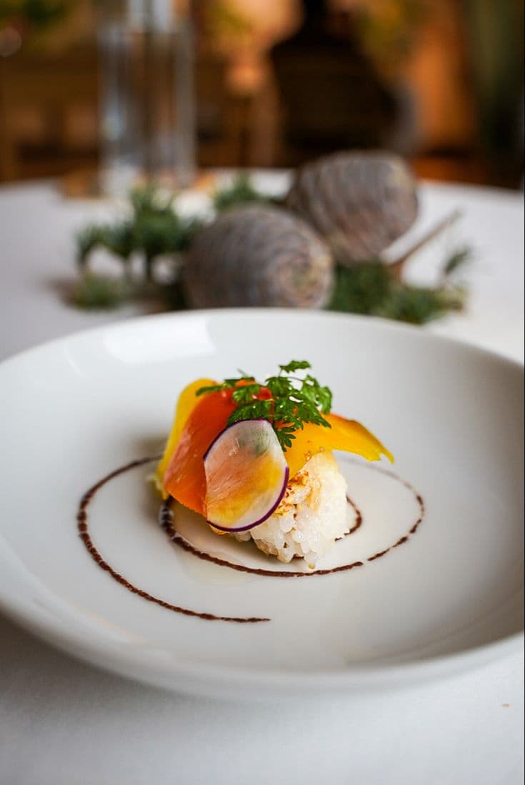 Elegant plant-based fine dining dish with colorful vegetables artfully plated on white ceramic